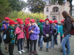 WBS-Frosch 2