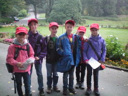 WBS-Frosch 3