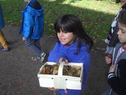 Herbst6