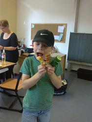 WBS_Hasen_Letzt._Tag_Tom