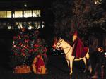 Sankt Martin 2013 (1)