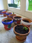 Hundertwasser (7)