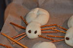 Spinnenbr&ouml;tchen (1)