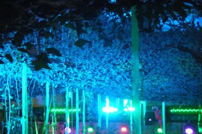 Elternfete 2014-3