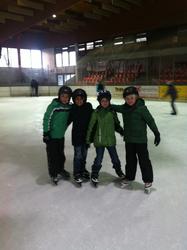 WBS-Frosch 1