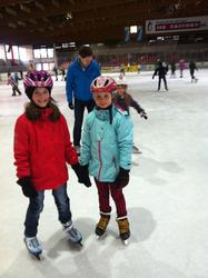 WBS-Frosch 2