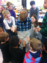 WBS-Frosch 6