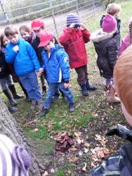 waldspaziergang 2