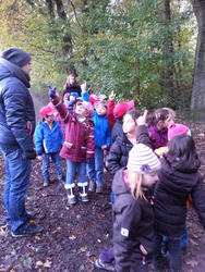 waldspaziergang 3