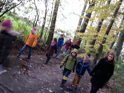 waldspaziergang 4