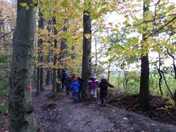 waldspaziergang 5