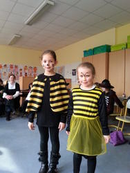 eulen_Karneval 3