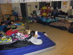 Leseratten (1)