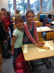WBS-Frosch 11