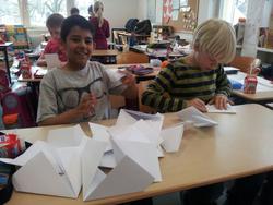 WBS-Frosch 17