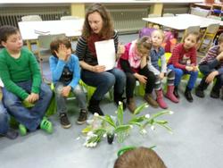 eulen_Tulpen 2