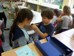 eulen_Sinnesstationen 1