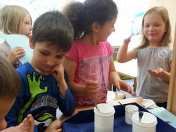 eulen_Sinnesstationen 3