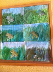 WBS-Frosch 11