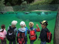 WBS_DelfinZoo2