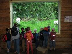 WBS_DelfinZoo3