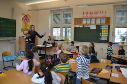 WBS_DelfinGinger1