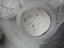 Erbsenexperiment 2