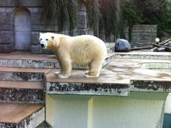 3b_MAusklasse Zoo 2
