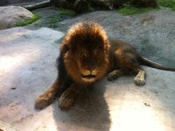 3b_Mausklasse Zoo 3