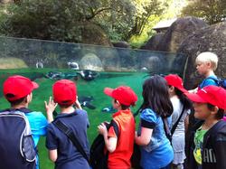 3b_Mausklasse Zoo 4