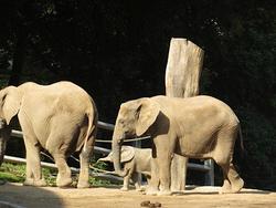 3b_Mausklasse Zoo 5