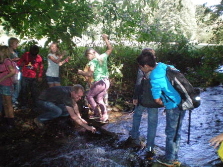 WBS_frosch_strau&szlig;3