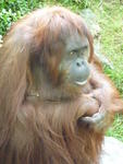 Ein Tag im Zoo (5)