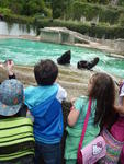 Ein Tag im Zoo (9)