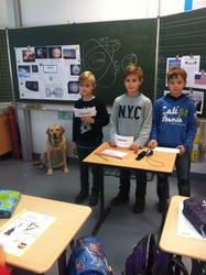 WBS-Frosch 8
