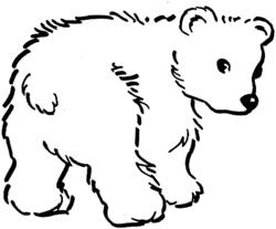 eisb&auml;r