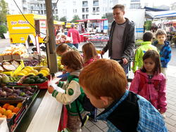 Eulen_Auf dem Markt 2