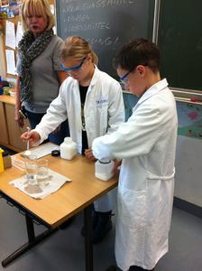 WBS-Frosch3