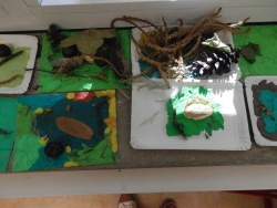 Wiesenmodell 3