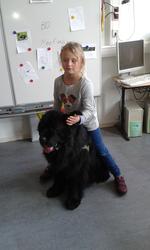 Haustier2