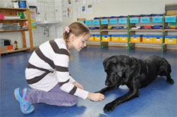 hund_3