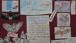 Fledermaus5