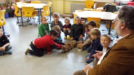 F&uuml;chse_Fuchs 1
