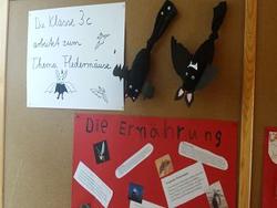 Flederm&auml;use2