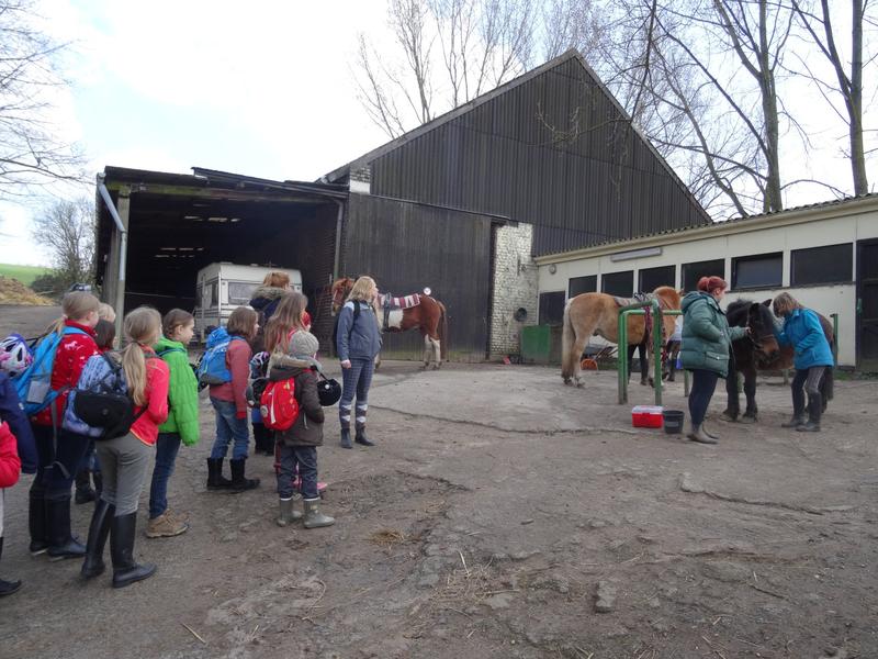 wbs_05_DSC05143-reiten                               