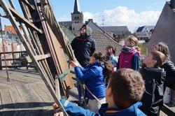 wbs_L&ouml;wen_Xanten_2                         