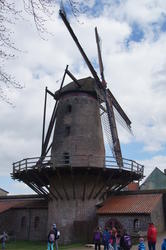 wbs_L&ouml;wen_Xanten 6                               