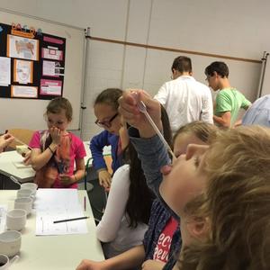 Mausklasse