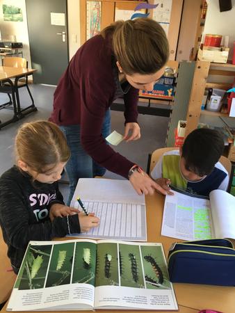 Begabtenf&ouml;rderung (5)