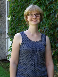 wbs_Baumeister                           